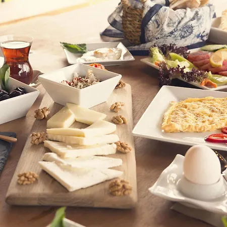 Hotel Vira Demir *